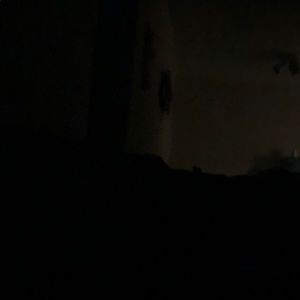 Meet your Posher, Bryant